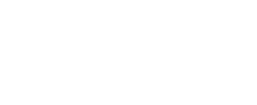 Basuto Security